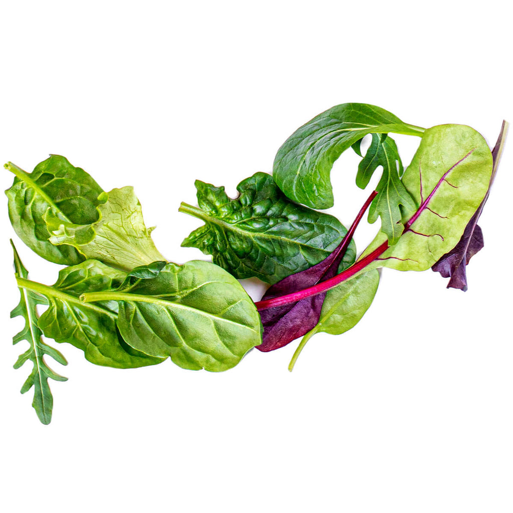 Salad Bags & Ingredients