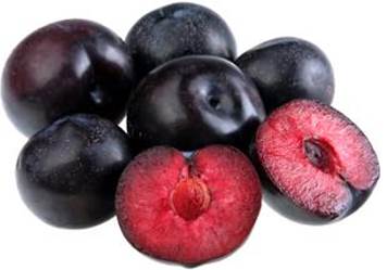 Plums Queen Garnet