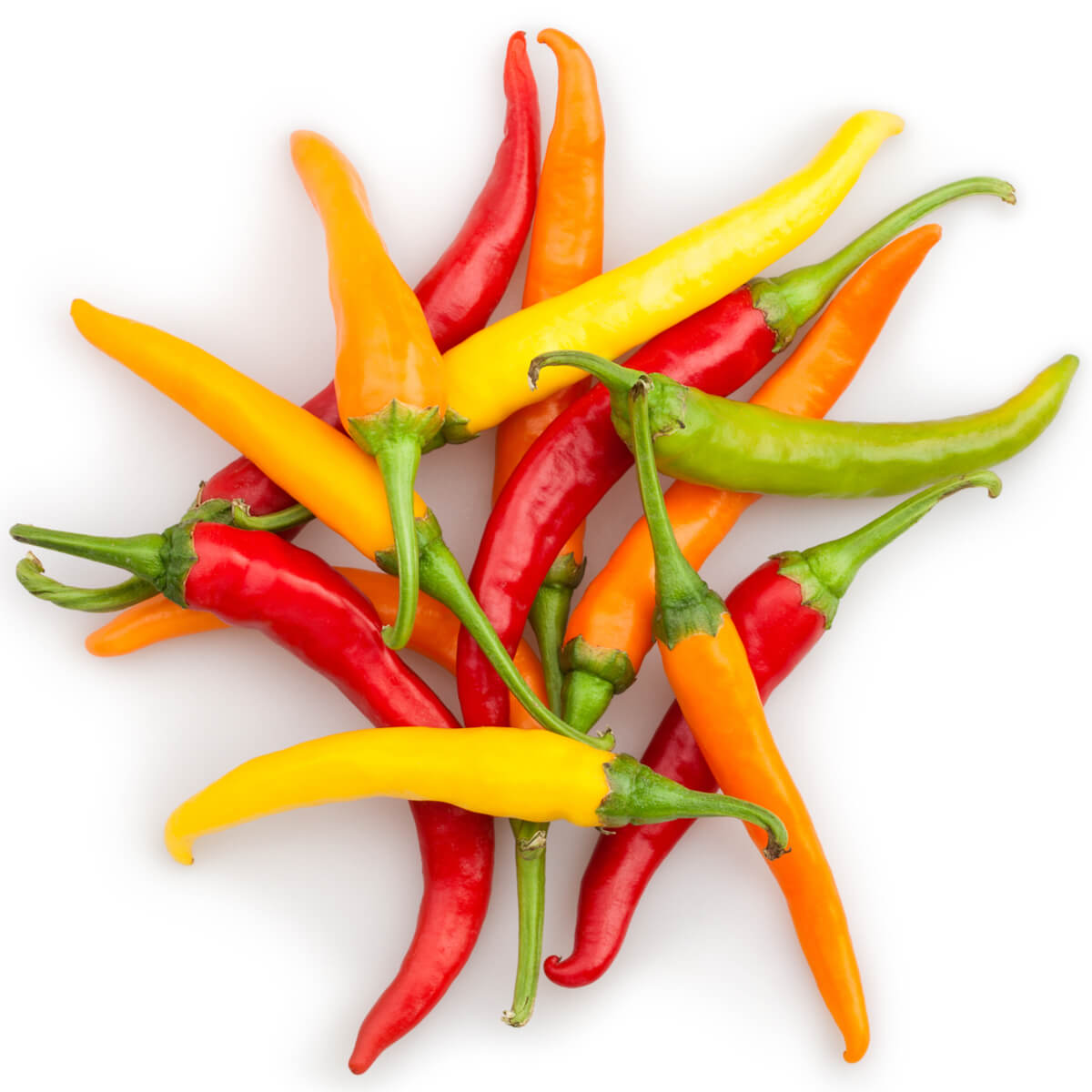 Garlic, Ginger & Chilli