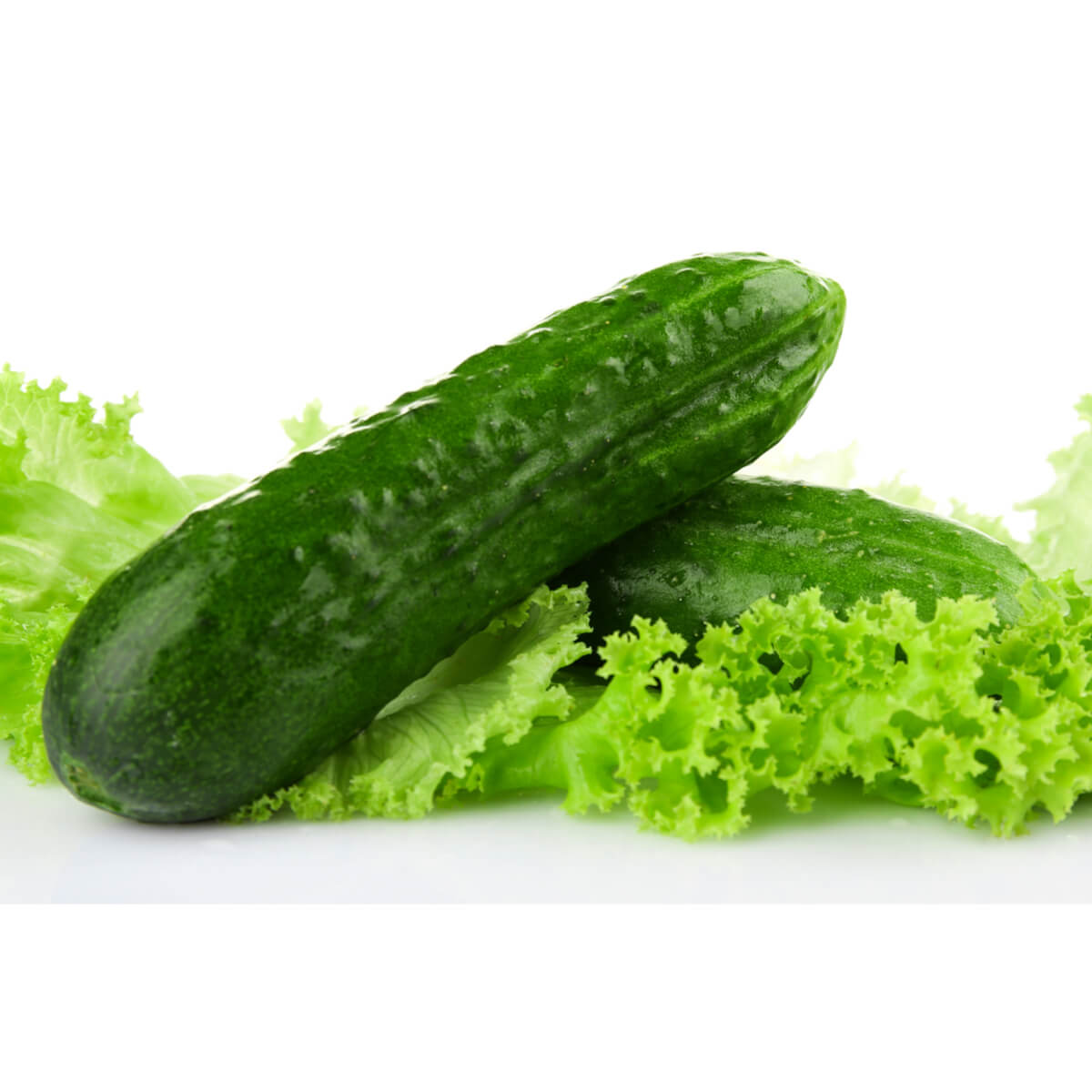 Lettuce & Cucumber
