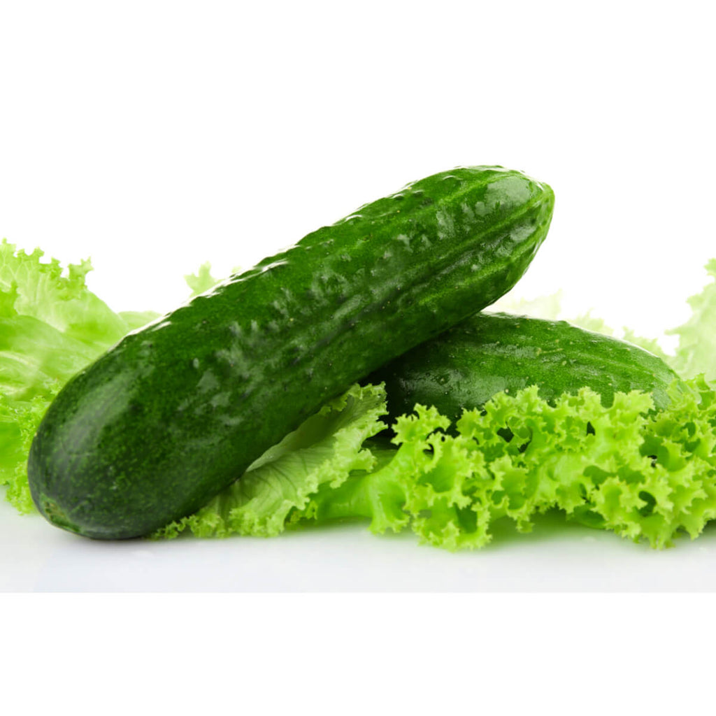 Lettuce & Cucumber
