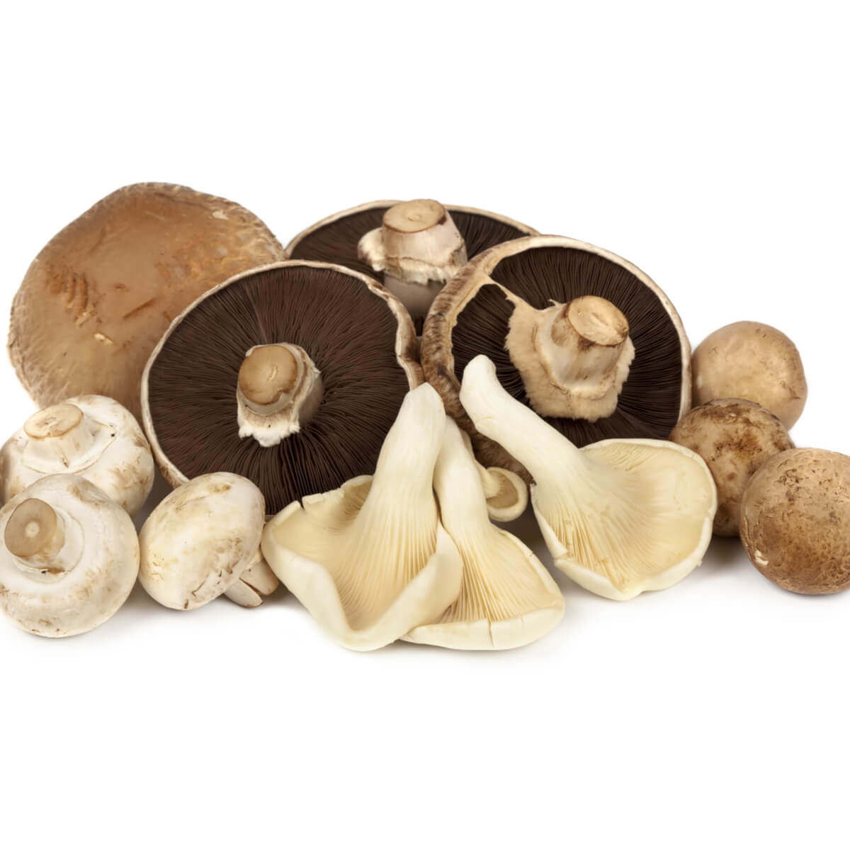 Mushrooms