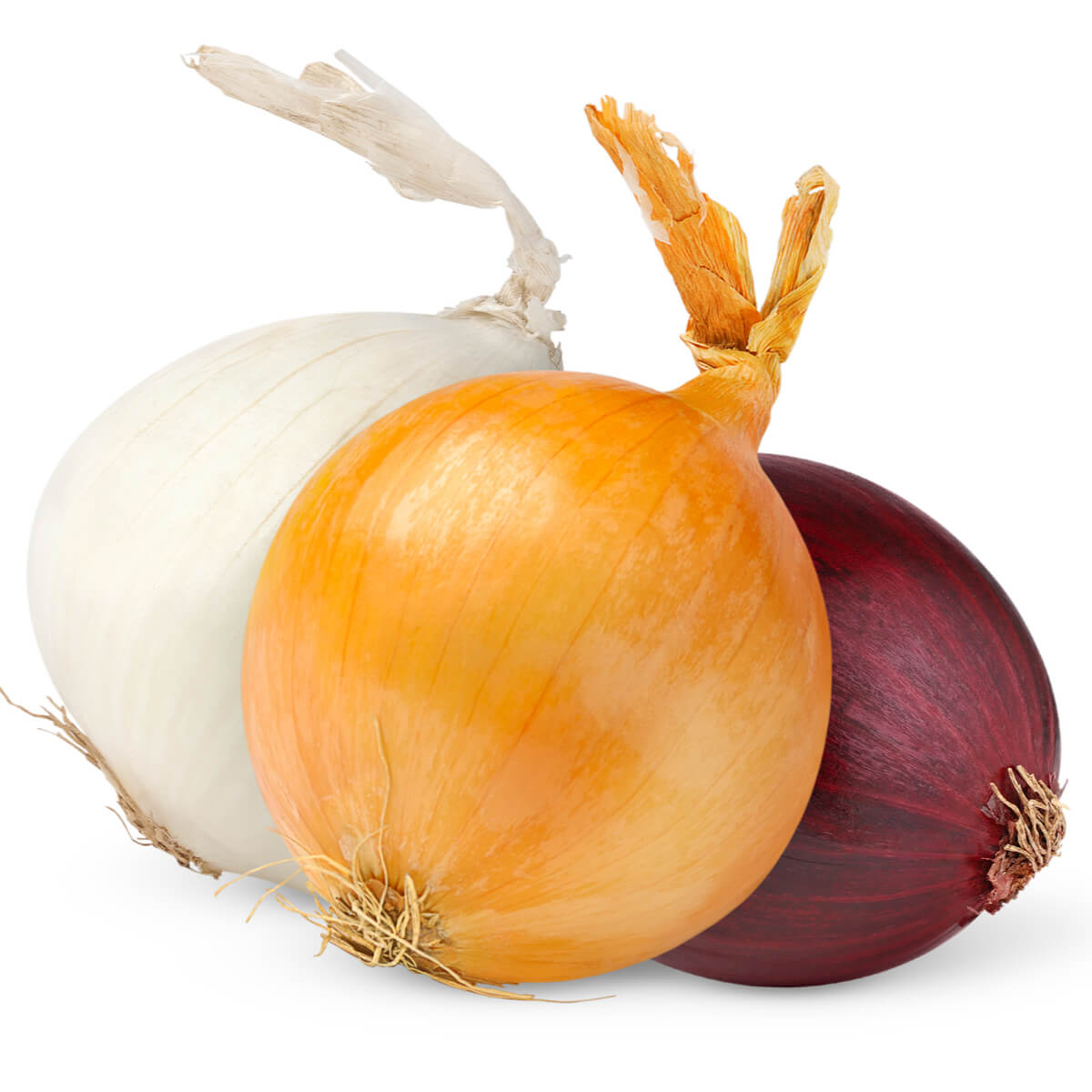 Onions & Leeks