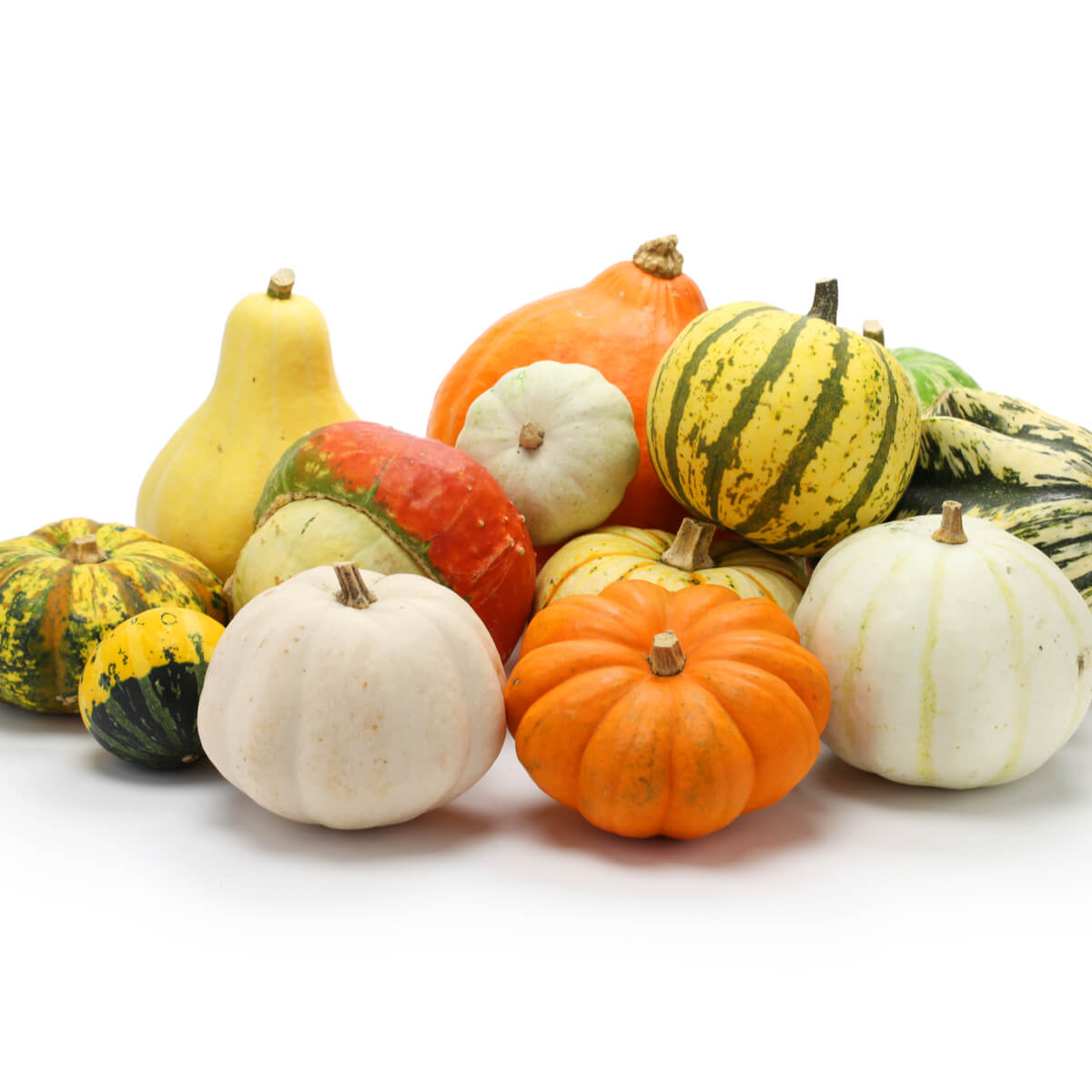 Potatoes & Pumpkins