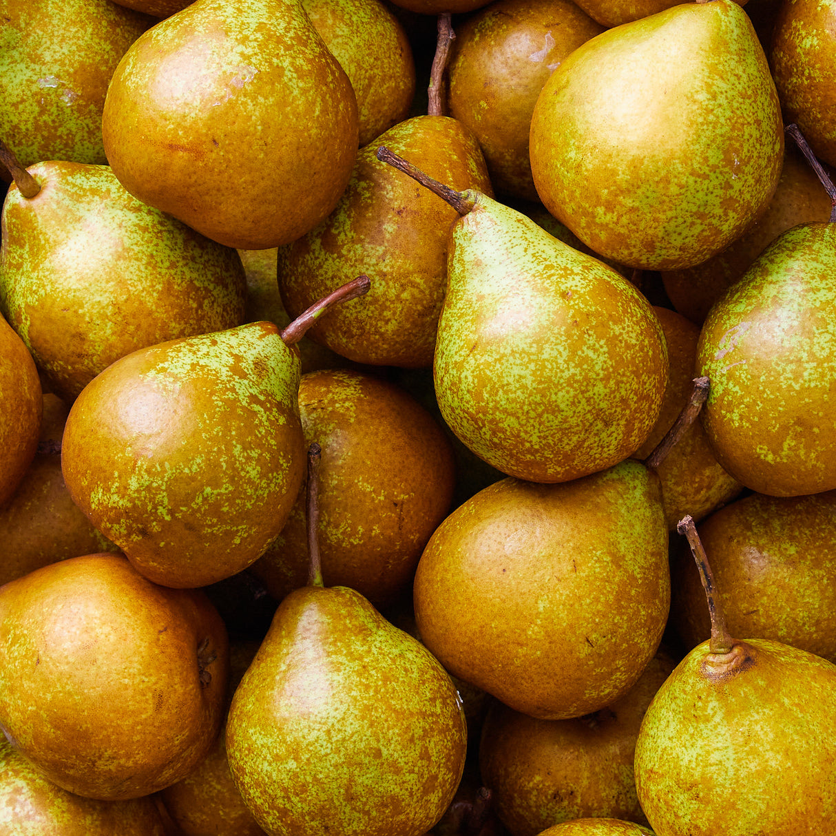 Honey Pears
