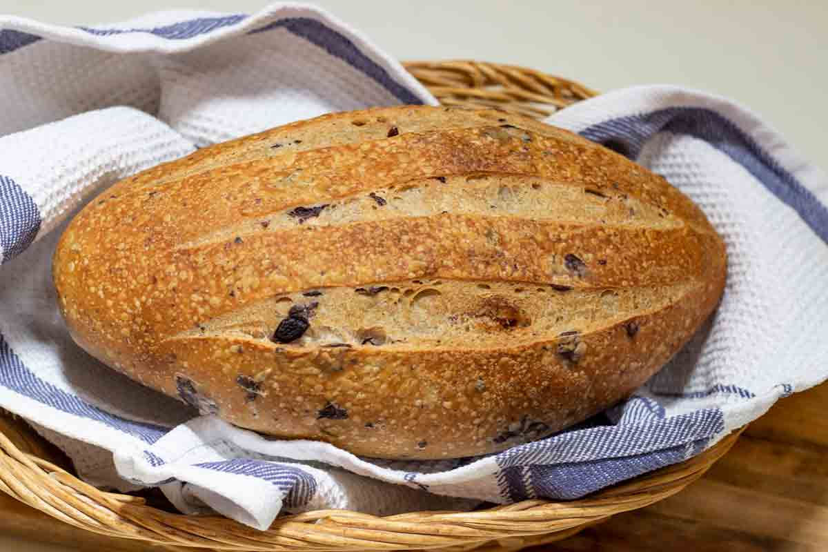 Perryman's Sourdough - Olive & Rosemary - Vienna Loaf