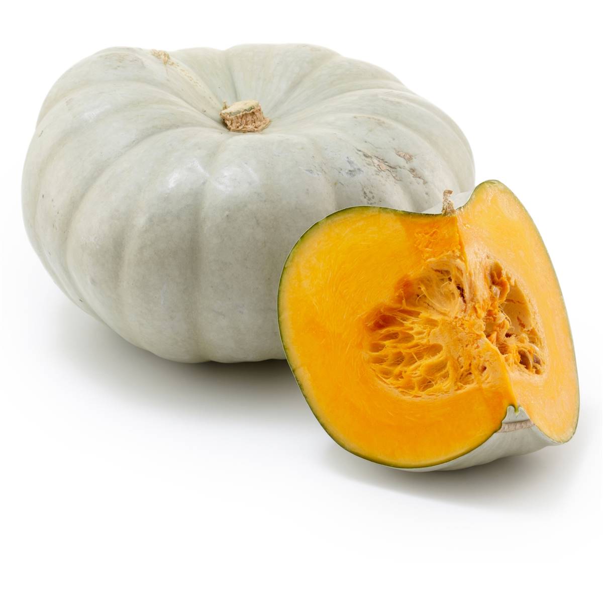 Pumpkin Queensland Blue