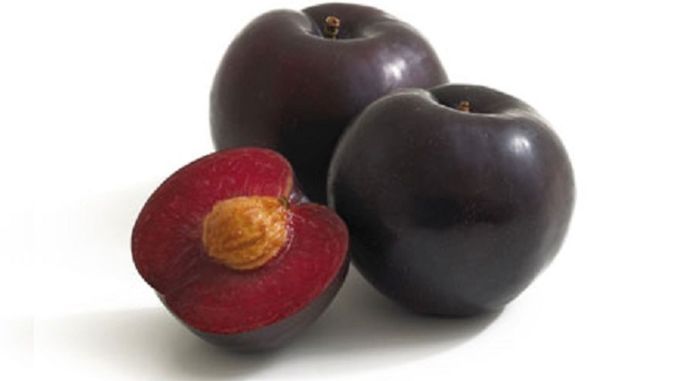 Plums Black