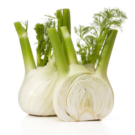Fennel