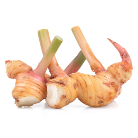 Galangal