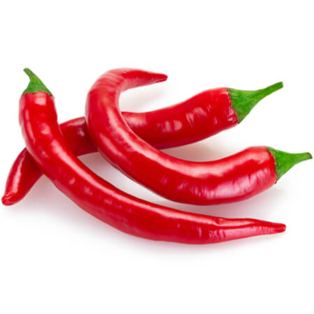 Chilli Long Red 20g