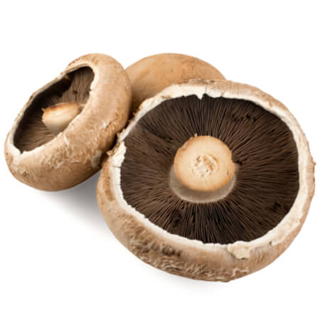 Mushrooms Portobello