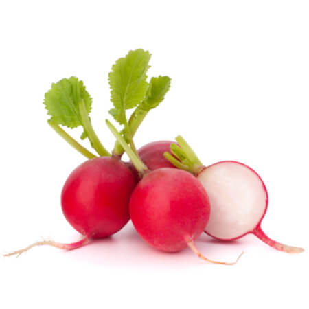 Radish Bunch