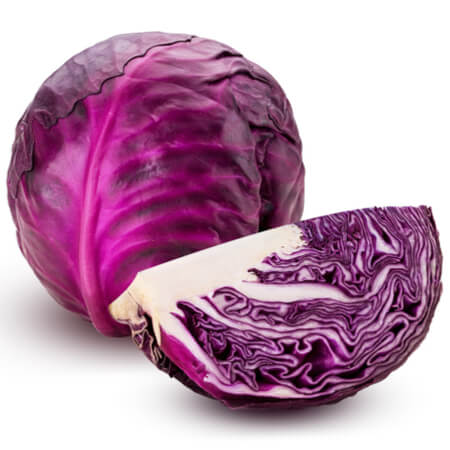 Cabbage Red