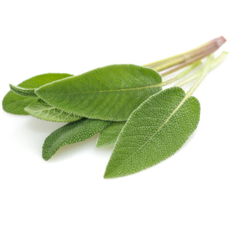 Sage