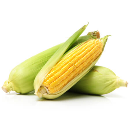 Sweet Corn